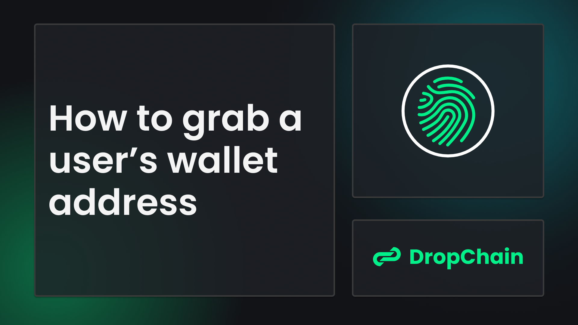How To Grab A Wallet's Assets